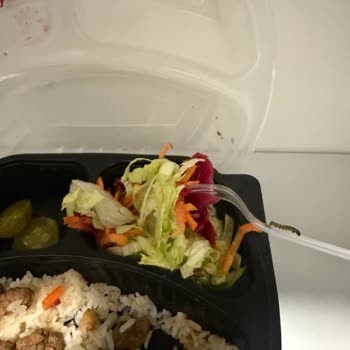 Siparişimde Böcek Çıktı, Hijyen Ve Destek Sorunu Yaşadım