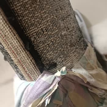 Satın Aldığım Halının İçinden Böcek Çıktı Hijyen Ve İade Desteği Yok