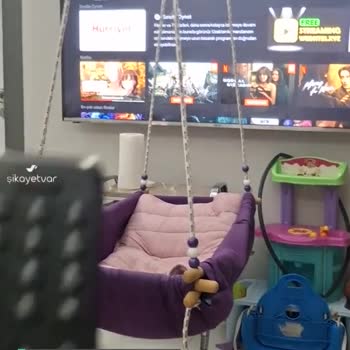 Regal TV Pişmanlıktır!