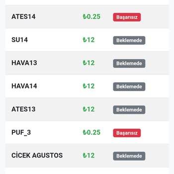 Ankethane Platformunda Anket Onayı Ve Ödeme Sorunları