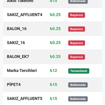 Ankethane Platformunda Anket Onayı Ve Ödeme Sorunları