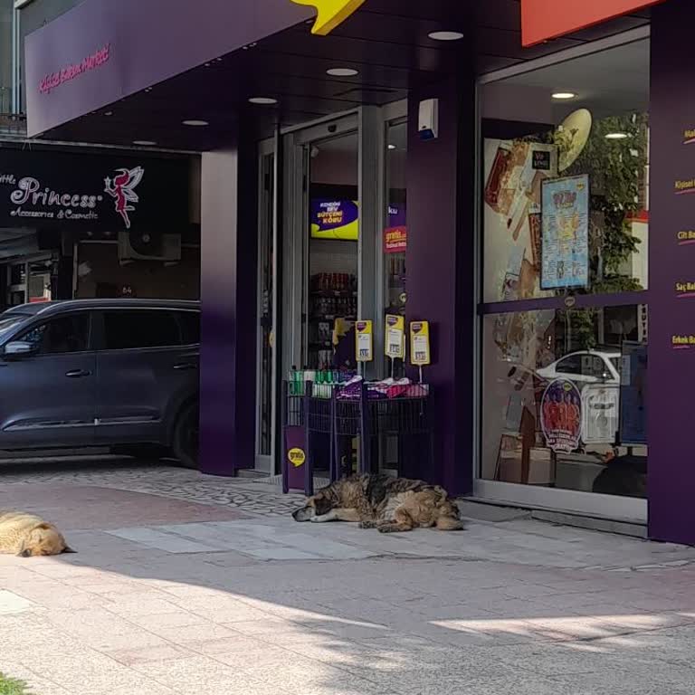 Kasiyerin Gereksiz Müdahalesi Alışverişimi Yarım Bıraktırdı