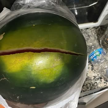 Erimiş Dondurma Ve Kırık Karpuz Teslimatı Sonrası Çözüm Sunulmaması