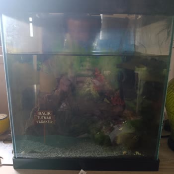 Habersiz Uzun Elektrik Kesintisi Mağduriyet Yarattı, Ön Bilgilendirme Yapılmadı