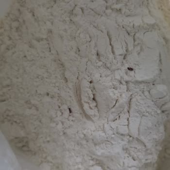 Aldığım Un Paketinden Böcekler Çıktı Mağduriyetim Giderilmedi