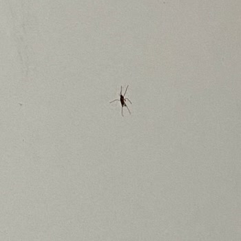 Kötü Temizlik Ve Hizmet Nedeniyle Palmira Beach Otel'de Mağduriyet Yaşadım