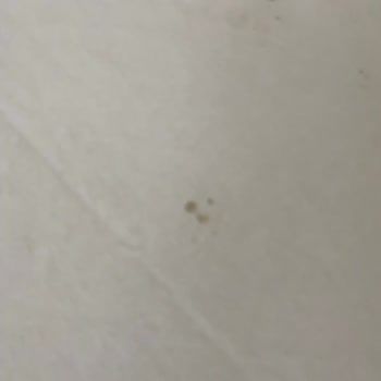 Kötü Temizlik Ve Hizmet Nedeniyle Palmira Beach Otel'de Mağduriyet Yaşadım