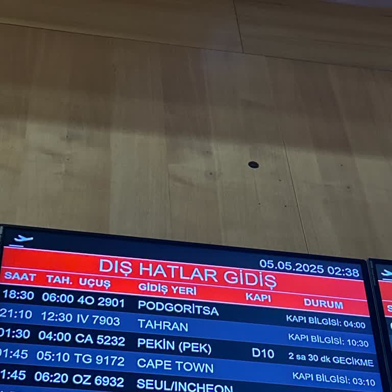 I Faced 12+ Hour Delay with Air Montenegro Flight 4O2901 and Got No Accommodation or Info