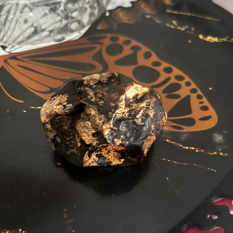 Şok Marketler Bozuk Avokadoya 10 Gündür Çözüm Ve İade Yok!