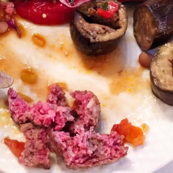 Yüksek Ücretli Tatil Köyünde Çiğ Yemek Ve Tek Çeşit Mağduriyeti