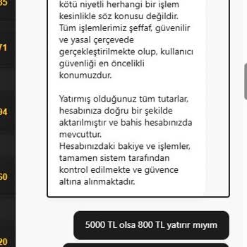 Yatırdığım Para Hesabıma Geçmedi, Canlı Destek Çözüm Sunmadı