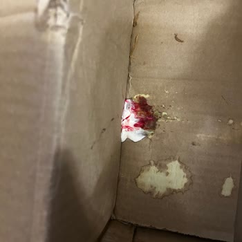 Rossmann Hasarlı Ürünler Ve İlgisiz Müşteri Hizmetleri Mağduriyet Yaşattı