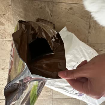 Aldığım Kedi Maması Bayat Ve Kalitesiz Çıktı, Sahte Olmasından Endişeliyim