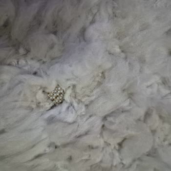 Doğuş Halı Yıkama Beylikdüzü'nde İnanılmaz Tavır!