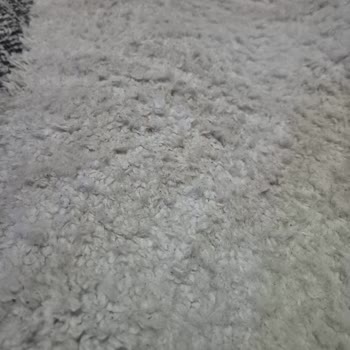 Doğuş Halı Yıkama Beylikdüzü'nde İnanılmaz Tavır!