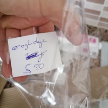 Aldığım Orkide Çiçeği Hasarlı Çıktı Firma Ücret İadesi Yapmıyor
