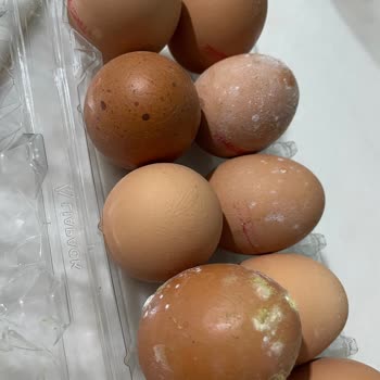 Tarım Kredi Kooperatif Market’te Hijyen Sorunu Ve Küflü Ürün Şikayeti