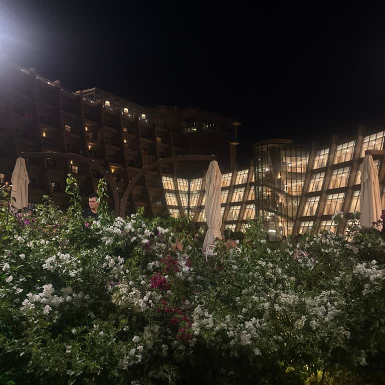 Nuhun Gemisi Otelinde Hizmet Ve Temizlik Sorunları