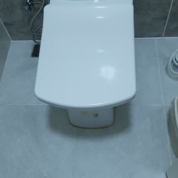 Klozet Kapağı İçin Küçük Bir Parça Bulunamıyor Mağduriyet Yaşıyorum