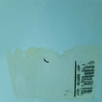 Klozet Kapağı İçin Küçük Bir Parça Bulunamıyor Mağduriyet Yaşıyorum