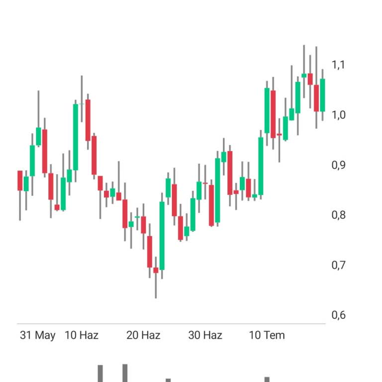 Icrypex Mağduriyeti Ve Bilgi Eksikliği Müşteri Kaygısını Artırıyor