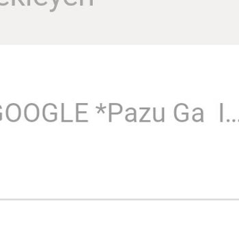 Bilgim Dışında Kredi Kartımdan Yapılan Harcama