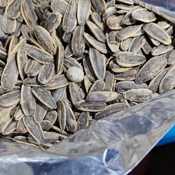 Aldığım Çekirdeğin İçinden Salyangoz Çıktı, Migros’tan İade Ve Özür Talep Ediyorum