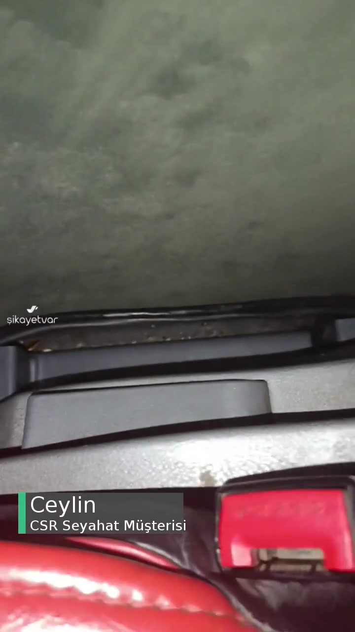 Csr Seyahat Hamam Böcekleri Ve İlgisizlik videonun kapak resmi