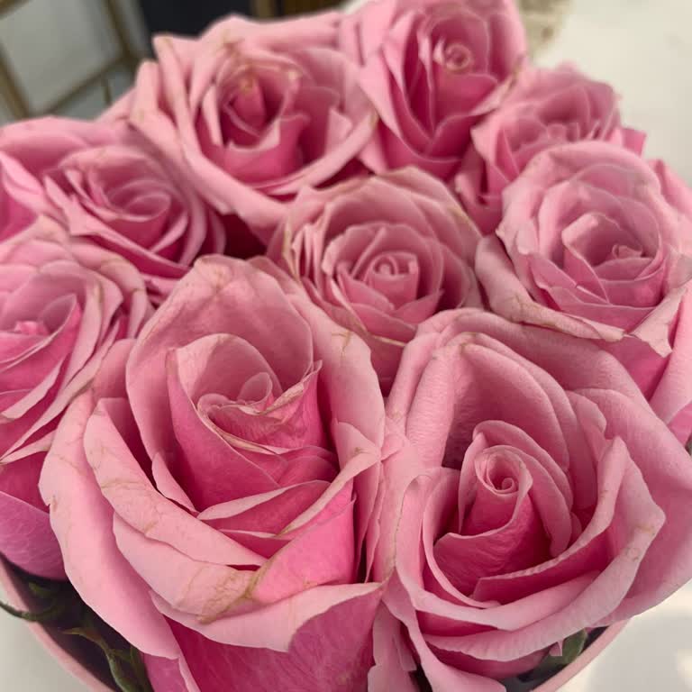 Solmuş Güller Ve İletişimsiz Müşteri Hizmetleri Nedeniyle Mağduriyet