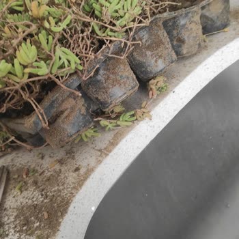 Bitkisatisi.com.tr Troyalab Çiçekçilik Şikayeti