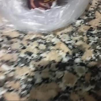 A101'den Aldığım Milkten Pudingden Çıkana Bakın Küf Kütlesi Yazık!