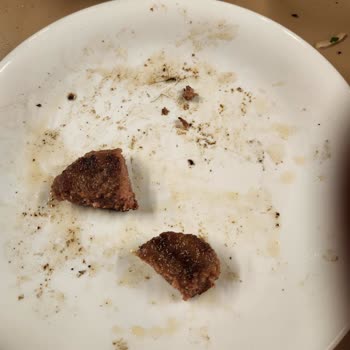 Köfte Siparişimde Sinek Çıktı Personel İlgisiz Davrandı Hijyen Konusunda Mağdur Oldum