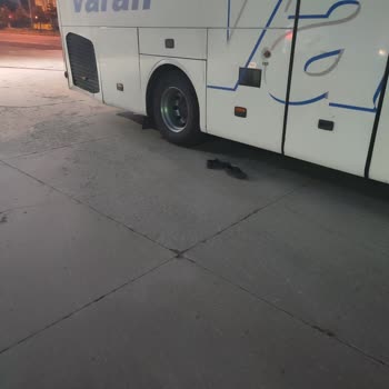 Varan Turizm Yolculuğunda Tek Şoför Nedeniyle Saatlerce Gecikme Yaşadım