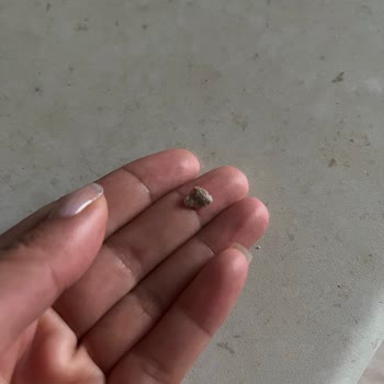 Aldığım Fındık Kremasından Taş Çıktı, Hijyen Konusunda Endişeliyim