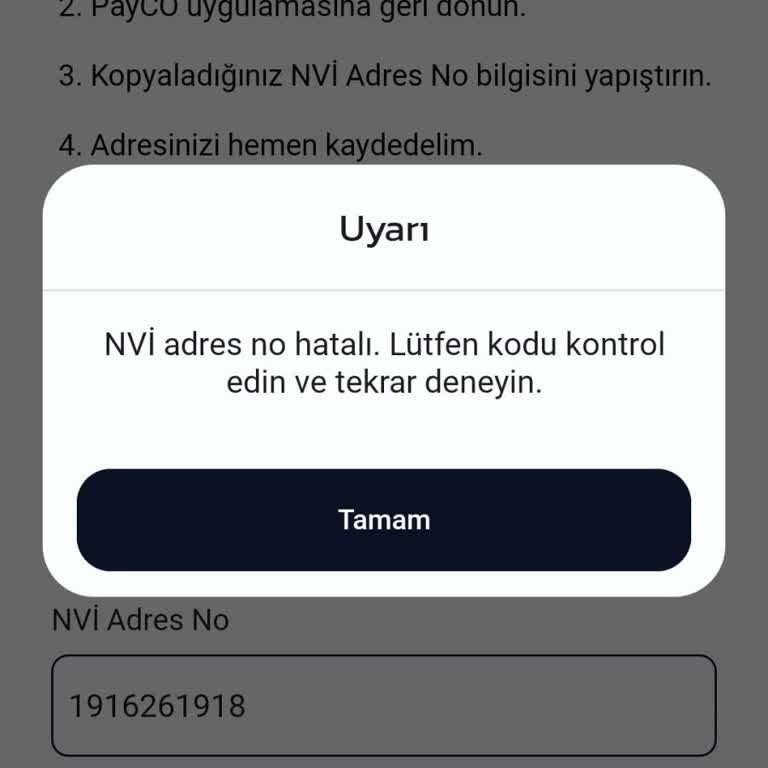 Payco Hesabımda Doğrulama Hatası Nedeniyle Bakiyeme Erişemiyorum