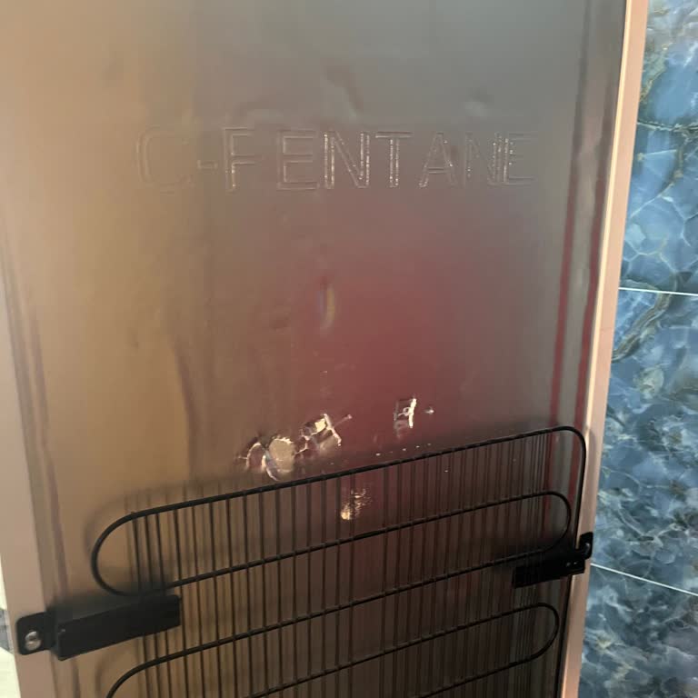 Regal 30010 Nf Buzdolabı Dondurmuyor, Servis - Teknisyen Sorunu Çözmedi