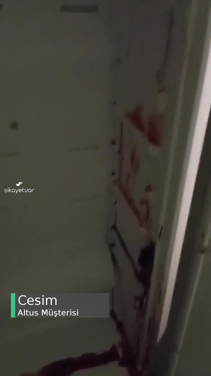 Altus Derin Dondurucu Şikayeti videonun kapak resmi