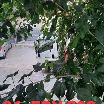 Boğaziçi Elektrik - Bedaş Kule Vinç Çalışmaları Nedeniyle Tekrarlayan İnternet Kesintisi Maddi Zarar