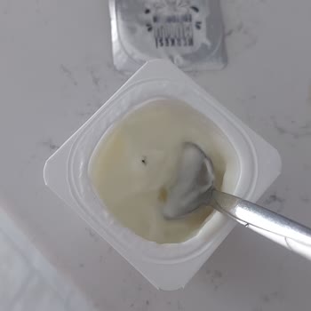 Aldığım Yoğurttan Sinek Çıktı Firma Dönüş Yapmıyor