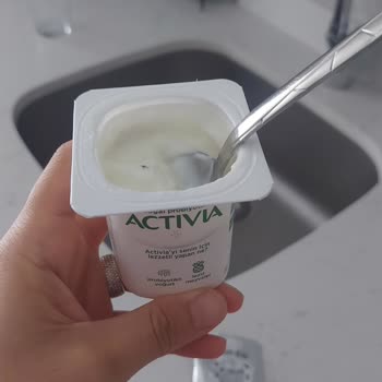 Aldığım Yoğurttan Sinek Çıktı Firma Dönüş Yapmıyor