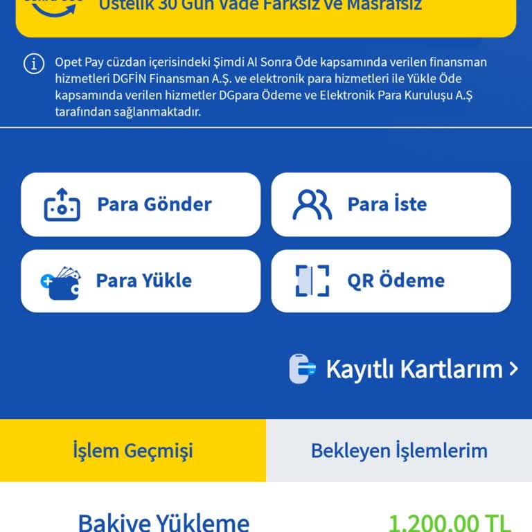 Opetpay İle Ödeme Yapamıyorum, Paramı Kullanamıyorum