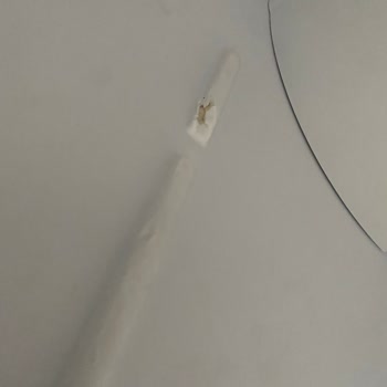 Servis Müdahalesi Sonrası Buzdolabında Kullanım Sorunu