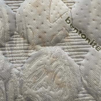 Aldığım Yatak Sağlığımı Bozdu, İstikbal Mağduriyetimi Çözmüyor!