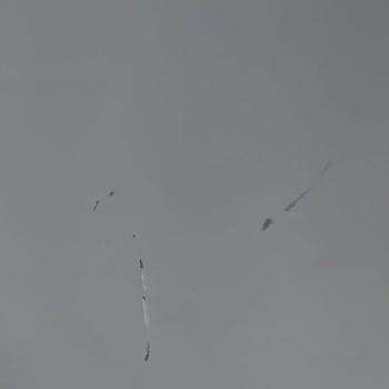 Bosch Teknik Servis Taşıma Yaparken Aynayı Kırdı!