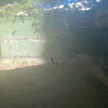 Yorumum Yayınlanmıyor Ve Bilgilendirme Yapılmıyor