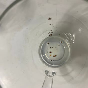 Migros'tan Aldığım Sütte Yabancı Partikül Ve Müşteri Hizmetlerine Ulaşamama Sorunu