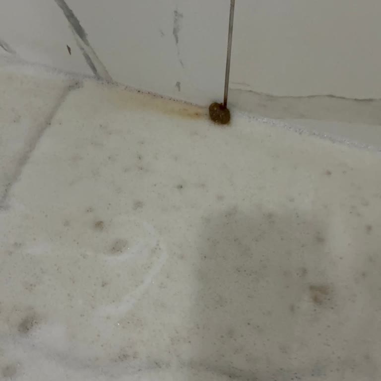 Otel Konaklamasında Hijyen Ve Hizmet Eksikliği Mağduriyeti