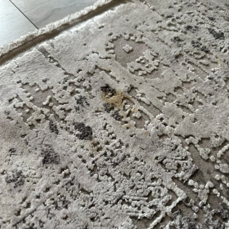 Çay Lekesi Temizlenmeyen Halı Ve İlgisiz Hizmet