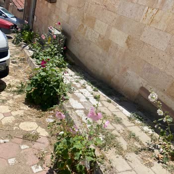 Aynalı Hamam Sokakta Temizlik Eksikliği Esnafı Ve Çevreyi Zorluyor