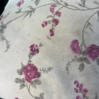 Serviste Uzun Bekleme, Kırık Parça Ve Temizlik Sorunu Yaşadım